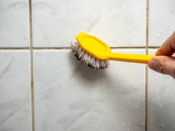 Best Professional Mold Removal  in Altadena, CA
