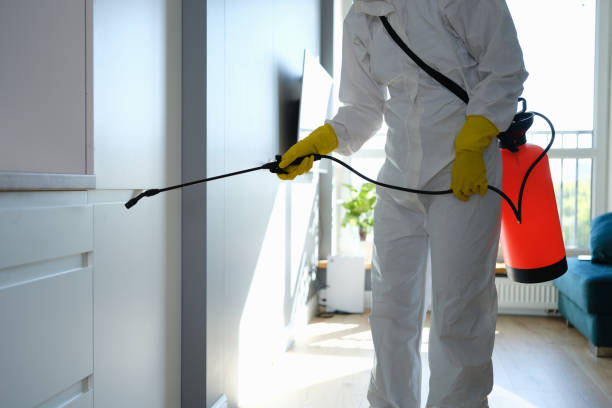 Best Attic Mold Removal  in Altadena, CA